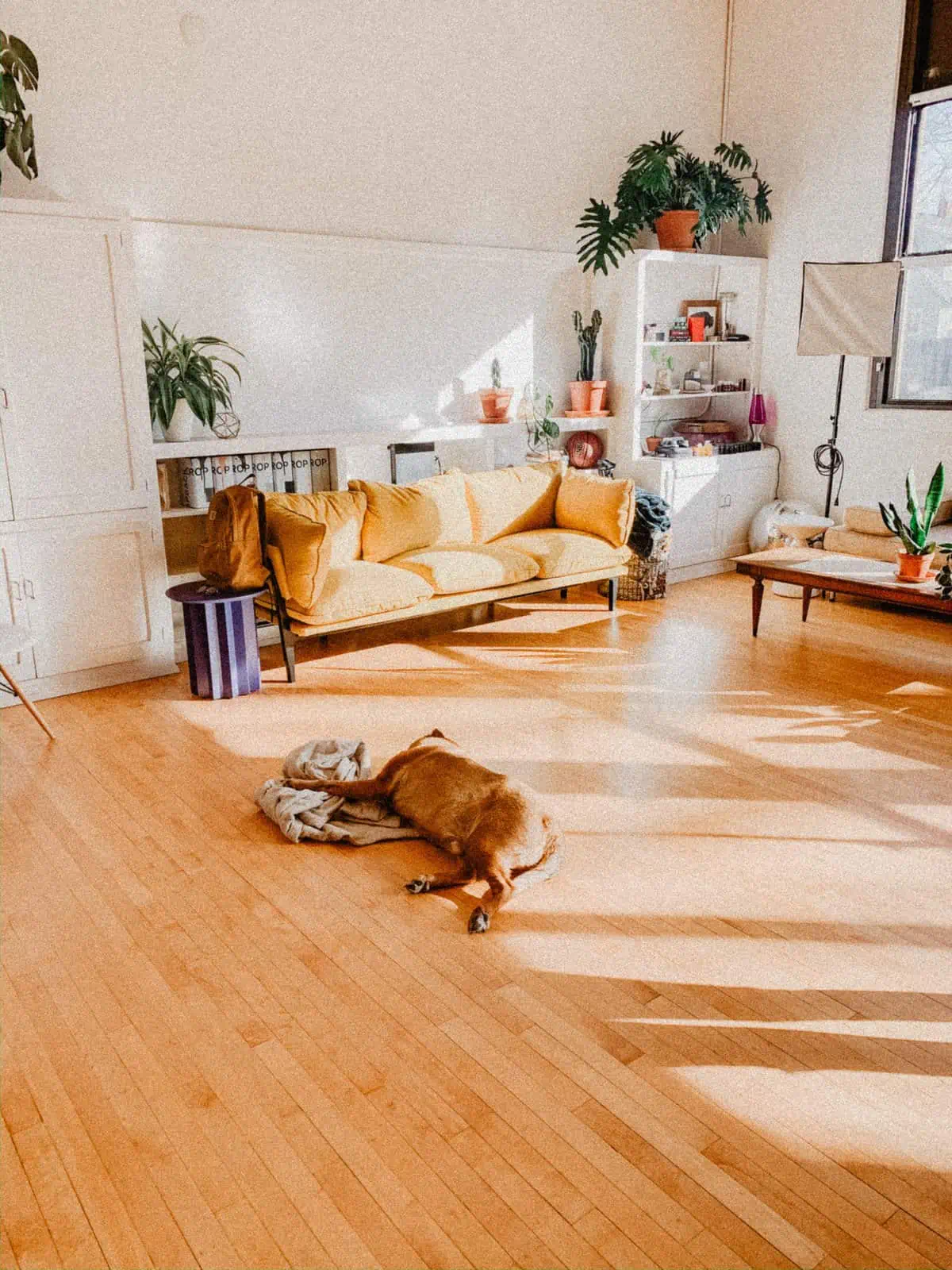 floor remodel