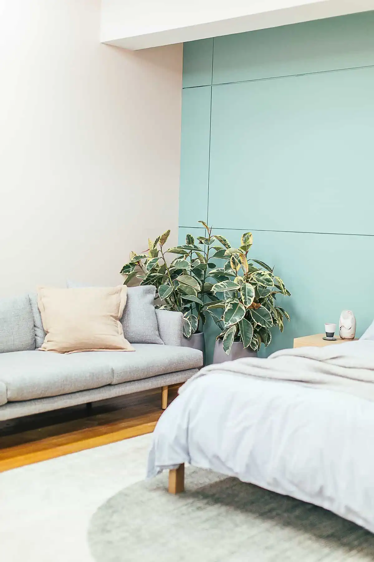 modern bedroom design-indoor plants