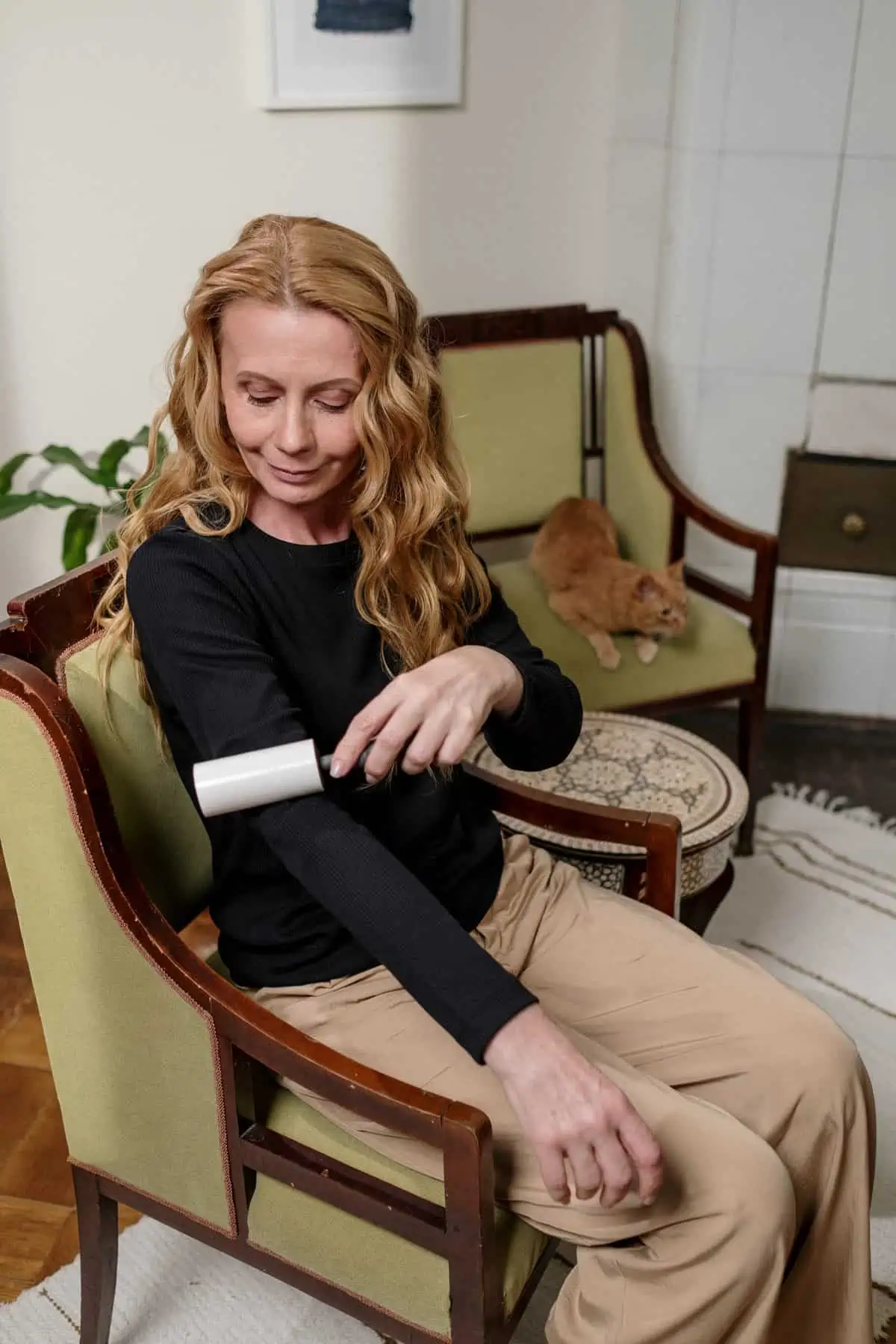 Cleaning Hacks for your Living Room-lint roller